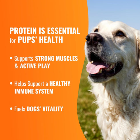 8 Count GOOD 'N' FUN Triple Flavor Wraps with Beef Tendon Chews, High-Protein Dog Treat for All Adult Dogs, Made