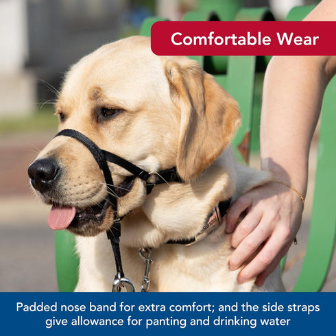 Coastal Pet Walk 'n Train Dog Head Halter, No-Pull Harness, Black, XLarge
