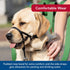 Coastal Pet Walk 'n Train Dog Head Halter, No-Pull Harness, Black, XLarge