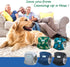Bands5 Pack Small(11"-14")) Leekalos Male Dog Diapers, Dog Belly Bands for Male Dogs Wraps Washable Doggie Diapers High