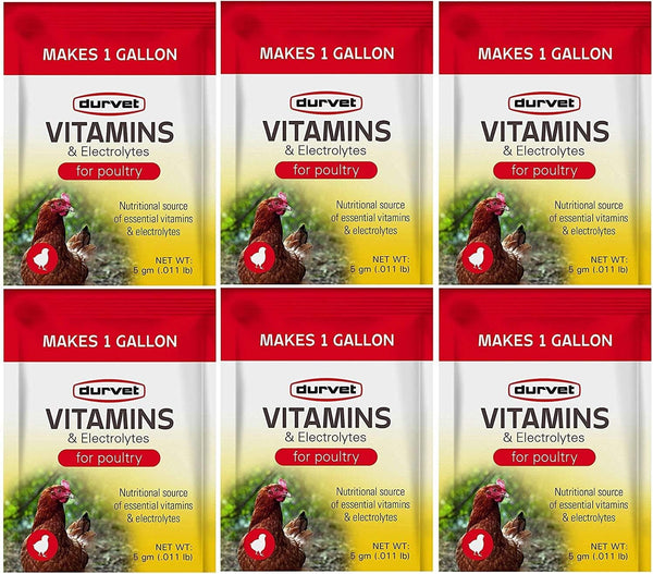 Durvet 6 Pack of Vitamins and Electrolytes for Poultry, 5 Grams, Makes 6