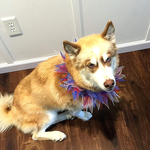 Midlee Medium Patriotic Dots Dog Collar for 4th of July