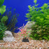 PATKAW Terrarium Plants, 20pcs Miniature Aquarium Plants for Micro Landscape Bonsai Decorations