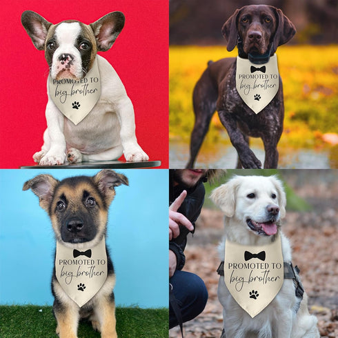 Luptiteuy Promoted to Big Brother Baby Announcement Dog Bandana Gender Reveal Gift Pregnancy Announcement Photo Prop