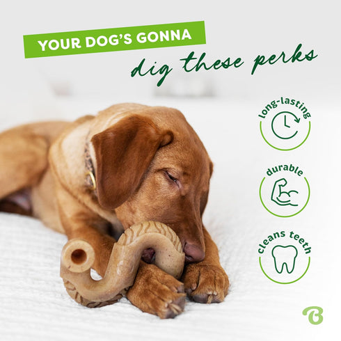 Benebone Tiny 2-Pack Durable Dog Chew Toy, Real Tripe for Aggressive Chewers, Made in USA