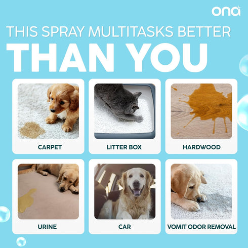 (16oz) ONA Pet Stain & Odor Eliminator Enzyme Cleaner Spray - Dog & Cat Urine Remover & Deodorizer for Home, Carpet