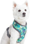 Blueberry Pet Essentials Soft & Comfy Dog Harness Vest, Adjustable Medium, Chest Girth 19.5" - 26" for Bahamas Vacation