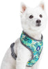 Blueberry Pet Essentials Soft & Comfy Dog Harness Vest, Adjustable Medium, Chest Girth 19.5" - 26" for Bahamas Vacation