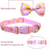 Easter Day Dog Collar with Bow Tie - Holiday Bunny Carrot Collar for Small Medium Large Dogs (Hoppy Hour/Pink, Medium)
