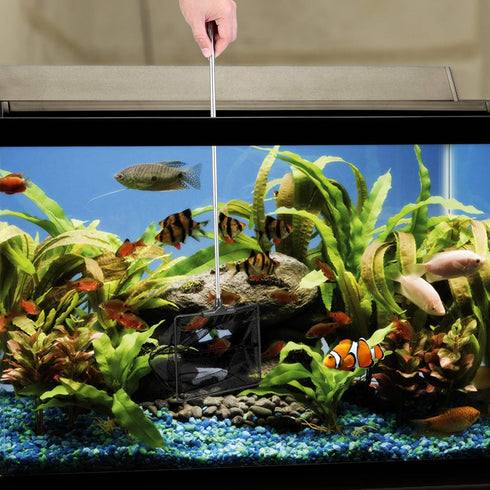 Lpraer 5" x 6" Aquarium Fish Net, Extendable Telescopic Stainless Steel Handle for Fish Tank