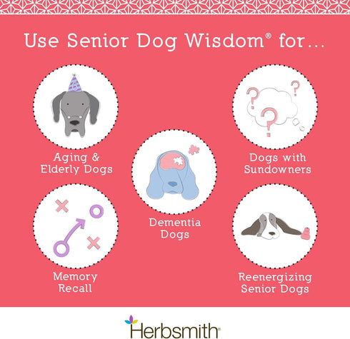 Herbsmith Senior Dog Wisdom Supplement for Dementia - DHA for Brain Health, 60ct Large Chews