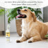 MIGHTY MUTT Waterless Paw Cleaner for Dogs, Made in USA, No-rinse Foaming Cleanser with Brush, Gentle & Hypoallergenic,