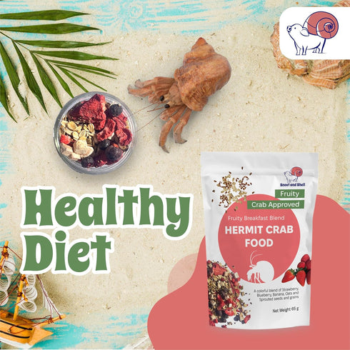 Snout and Shell Hermit Crab Food Bundle Fruity Breakfast Blend, Crabby Bug Blend & Greensand Organic, High Protein
