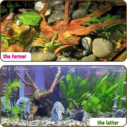 Hamiledyi 4 Pcs Driftwood for Aquarium, Natural Spider Wood Fish Tank Log Ornament