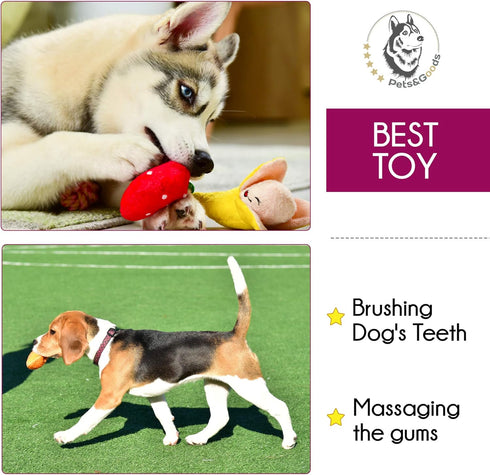 Pets&Goods Plush Squeaky Chew Toys for Small Dogs, 6-Pack Fruit & Vegetable Toy Set