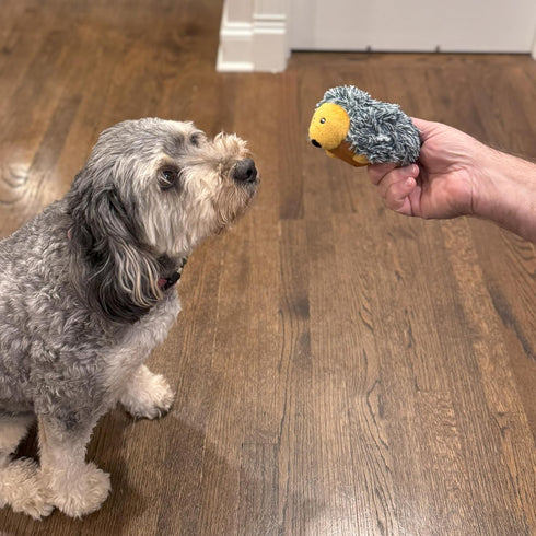 SPOT 4in, 1 Butterballs Forest Animals Dog Toy-Soft, Stuffed, Squeaky, Plush Fabric Toy for Mini and Small Dogs