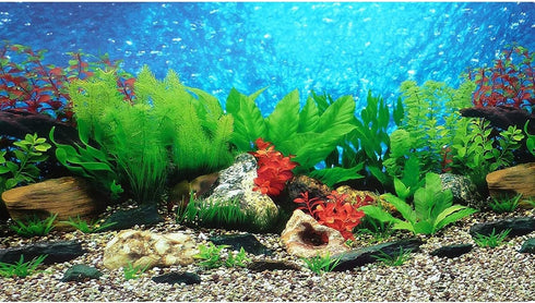 New 23" x 71" Fish Tank Background, 2 Sided River Bed & Lake Design