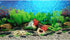 New 23" x 71" Fish Tank Background, 2 Sided River Bed & Lake Design