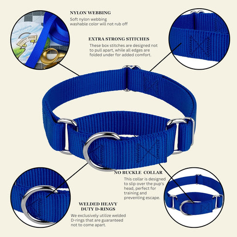 Country Brook Petz Martingale Dog Collar - Royal Blue, 3/4 Inch, Small - Heavy-Duty Training Collar