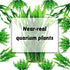 Aquarium Plants 20pcs, Fish Tank Decor Green Artificial Decorations for Household and Office Aquarium Simulation