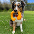 Nylabone C-Shuu Interactive Dog Toy, Lightweight Squishy Chase Toy for Creative Play & Dog Exercise