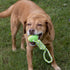 2 Piece Dog Training Ball on Rope, Cotton Rope Tug Ball Toy for Big and Small Dogs
