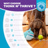 Outward Hound Nina Ottosson Big Mouthz Interactive Plush Dog Puzzle with Treat Ball, Blue