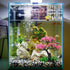 VICASKY Artificial Decoration Decorations Accessories - Aquarium Artificial Plastic Plants Decoration, Pink Cherry Blossom Tree & Grass Decor Set, Goldfish Fish Tank Decorations Hides Accessories