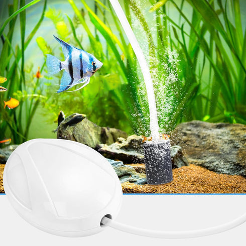 AQUANEAT 20 Gallon Aquarium Air Pump, Hydroponic Oxygen Aerator with Airline Tubing, Air Stone, Check Valve