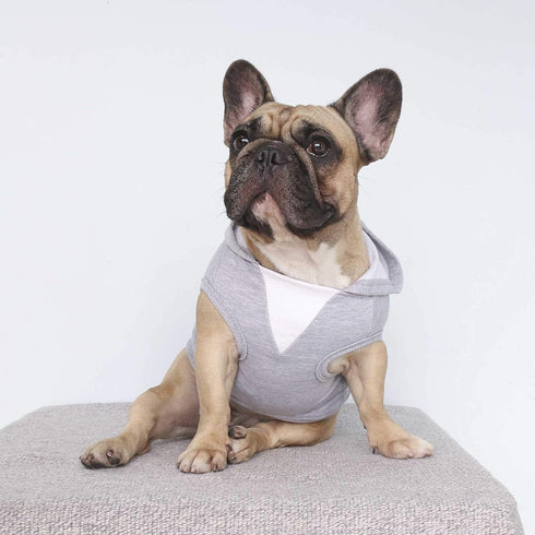 iChoue 100% Breathable Cotton Dog Hoodies for French Bulldog, Sweatshirts for Medium Dogs, Grey, Large Plus