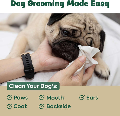 Dog Wipes for Cleaning and Deodorizing - 50 Bamboo Pet Wipes, Compostable, Hypoallergenic Grooming Wipes