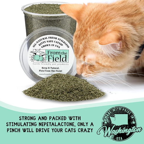 from The Field Fine Ground Stalkless Catnip, Premium USA-Grown, 6 oz Resealable Tub, Non-Toxic