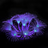 5 pcs Glowing Fish Tank Decorations Plants Kit, Glow Aquarium Decoration Plants