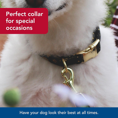 Coastal Pet Accent Metallic Adjustable Dog Collar, Comfortable with Sturdy Metal Buckle, Bright Black Galaxy, 5/8" x