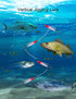 Saltwater Fishing Jigs, 6pcs Vertical Flat Jigging Lure for Tuna, Amberjack, Kingfish, and Snapper Fishing