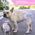 CuteBone Washable Dog Diapers for Female, 3 Pack Puppy Training Pants for Docked-Tail Dogs WWD16M