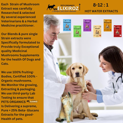 PURE CORDYCEPS M >25% ß-glucans, 100% Mushrooms Extract for Dogs & Cats, Stamina, Energy, Immune Support, 250 SERVINGS.