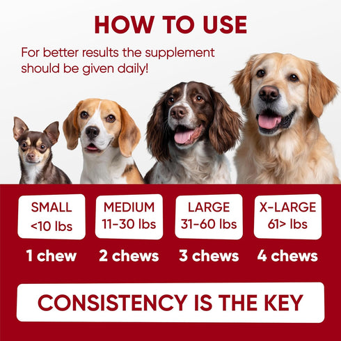 Immune Probiotics for Dogs Digestive Health - Probiotic Chews for Gut Health, Itchy Skin Yeast, Diarrhea - USA Product