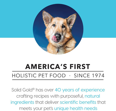 Solid Gold Canned Dog Food for Adult & Senior Dogs, Real Chicken & Whole Grains, Star Chaser High Calorie Wet Dog Food