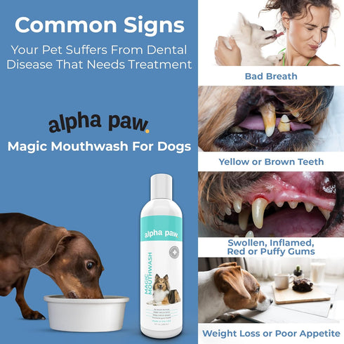 (8 oz) Alpha Paw Magic Mouthwash for Dogs, Natural Water Additive, Canine Breath Freshener, Dog Essentials for Plaque