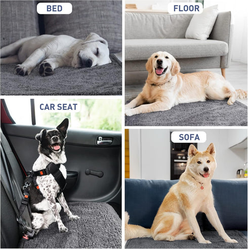 Kritter Planet Waterproof Blanket for Dogs, Pee Proof Sherpa Fleece Reversible Cover for Couch or Bed