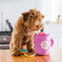 ZippyPaws Burrow- Interactive Dog & Puppy Toys, Hide & Seek Plush Dog Puzzles for Small & Medium Dogs - Coffee & Donutz