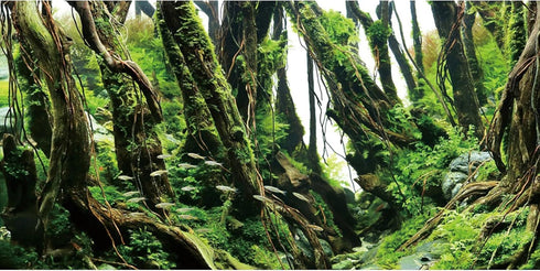 AWERT 36x24 inches Tree Branches Aquarium Background - Green Algae River Bed & Lake Fish Tank