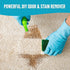 BEST Odor Eliminator, Strong Odor Stain Remover, All Purpose Cleaner, Carpet Deodorizer, Upholstery Cleaner, Glass