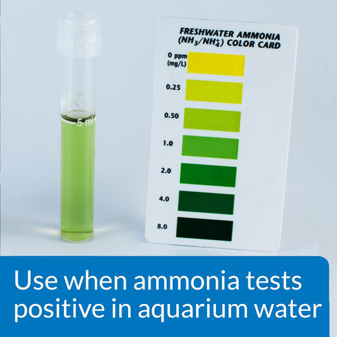 API Ammo Lock Freshwater and Saltwater Aquarium Ammonia Detoxifier - 1-Gallon Bottle