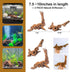 FUNOJOY Natural Driftwood Decor for Aquarium, Assorted Wood Branches for Reptile Fish Tank, Pack of 2 (7.5 to 10 Inch)