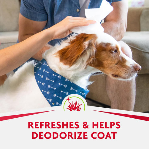 Furminator DeShedding Grooming Wipes for Dogs, Refresh & Deodorize Coat Without Bathing, 100 Count
