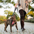 PetiFine 6FT Heavy Duty Dog Leash - Soft Padded Double Handle, Durable Strong Clasp, Reflective Nylon Walking Lead for