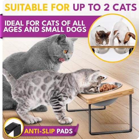Elevated Cat Bowls, Raised Stainless Steel Bowls for Indoor Cats, Tilted Cat Food Dishes, Feeding Station