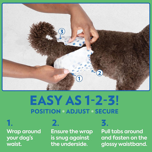 32 Count Out! PetCare Disposable Male Dog Wraps, Puppy Pee Wraps, Belly Bands for Dogs, Leak Proof, Wetness Indicator